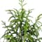 4ft. Unlit Norfolk Pine Artificial Potted Christmas Tree